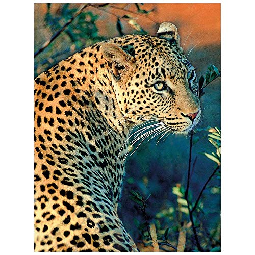 Ideen mit Herz 5D Diamond Painting | Diamant Painting Set | 35 x 25 cm | Motivleinwand | runde Steinchen | inkl. Zubehör | Verschiedene Bilder zur Auswahl (Leopard) von Ideen mit Herz
