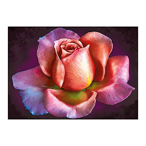 Ideen mit Herz 5D Diamond Painting | Diamant Painting Set | Motiv: 35 x 25 cm | Leinwand: 30 x 40 cm | runde Steinchen | inkl. Zubehör | Verschiedene Bilder zur Auswahl (Rose 01) von Ideen mit Herz