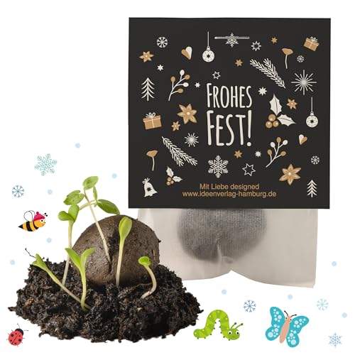 4x "Frohes Fest" Winter Samenbomben Weihnachten/treiben aus bei Kälte/kleine Geschenke für Kollegen Gäste & Kinder - Saatbomben Gastgeschenk als Dankeschön & Kleinigkeit von Ideenverlag HAMBURG