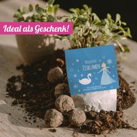 10x "Eisprinzessin" Samenbomben von IdeenverlagHamburg