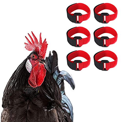 Idezek 2 Stück Hahn Halsbänder Anti Krähe Hahn Kragen Hühnerhalsband verstellbare Hühnerhalsbänder mit Klettverschluss Heimtierbedarf Idezek 2 Stück Hahn Halsbänder Anti Krähe Hahn Kragen Hühnerhalsband verstellbare Hühnerhalsbänder mit Klettverschluss Heimtierbedarf von Idezek