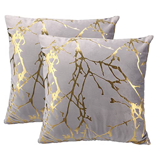 Idocolors 2er Set Samt Kissenbezug für Sofa 45x45 cm Dekorative Kissenhülle mit Goldenes Muster, Dekokissenbezuge für Schlafzimmer Wohnzimmer Zierkissenbezüge Grau von Idocolors