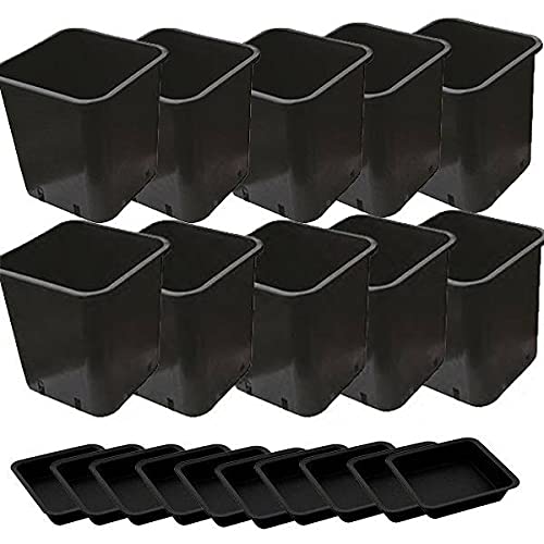 Idroponica Quadratischer Blumentopf 11 l + Untersetzer - 22 x 22 x 26 cm von Idroponica