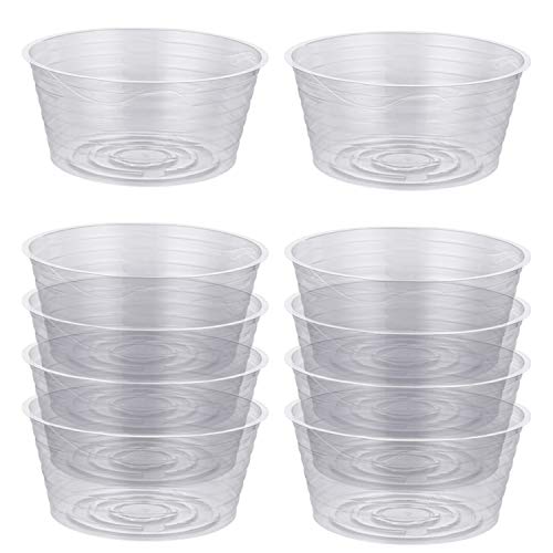 Idyllize 10 Stück 30,5 cm transparente, dünne, Tiefe Kunststoff-Pflanzen-Untersetzer für Töpfe (30,5 cm) von Idyllize