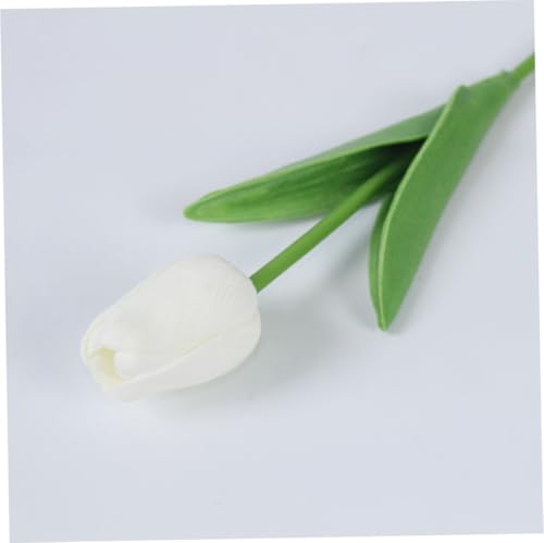 Iewroyt Künstliche Blumen Tulpen Simulation Blumen Gefälschte Latex Material Wirkliche Berührung für Hochzeitsfeier Wohndekorationen Weiß Iewroyt Künstliche Blumen Tulpen Simulation Blumen Gefälschte Latex Material Wirkliche Berührung für Hochzeitsfeier Wohndekorationen Weiß von Iewroyt