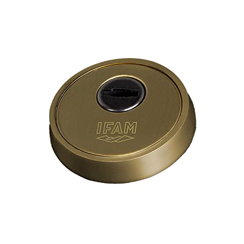 Schublade ES700L, Messingbeschichtung, Durchmesser 61 mm, IFAM Schublade ES700L, Messingbeschichtung, Durchmesser 61 mm, IFAM von Ifam