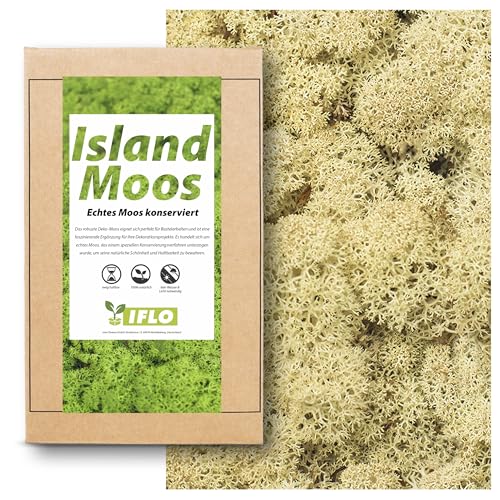 Moos zum Basteln - Island Moos - 100g Echtes Moos konserviert, Deko Moos Sets konserviertes Moos Ostern Deko islandmoos, moosbild, mooswand, Moos deko Terrarium Moss (Natur) von Iflo