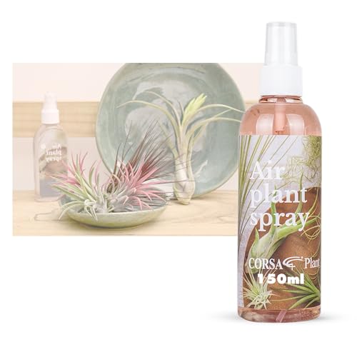 Tillandsien Pflanzen Spray 150 ml Eco Tillandsien Spray für Tillandsien Luftpflanzen echt, Tillandsien Dünger Tillandsia Tillandsien Pflanzen echt Dünger Nahrung Deko Pflanzen fertig gemischt von Iflo