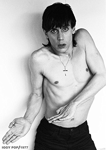 IGGY POP POSTER PORTRAIT 1977 von Poster Revolution