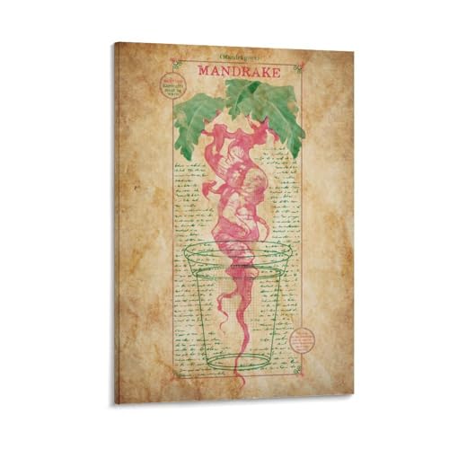 Igtefte Mandrake-Diagramm, Poster, Leinwand, Kunst, Gemälde, Büro, Zuhause, Bar, ästhetische Wanddekoration, 30 x 45 cm von Igtefte