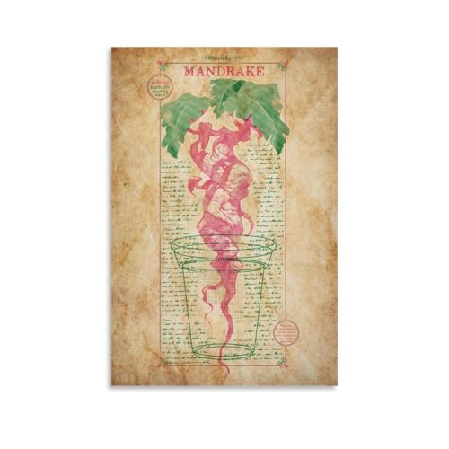 Igtefte Mandrake-Diagramm, Poster, Leinwand, Kunst, Gemälde, Büro, Zuhause, Bar, ästhetische Wanddekoration, 60 x 90 cm Igtefte Mandrake-Diagramm, Poster, Leinwand, Kunst, Gemälde, Büro, Zuhause, Bar, ästhetische Wanddekoration, 60 x 90 cm von Igtefte