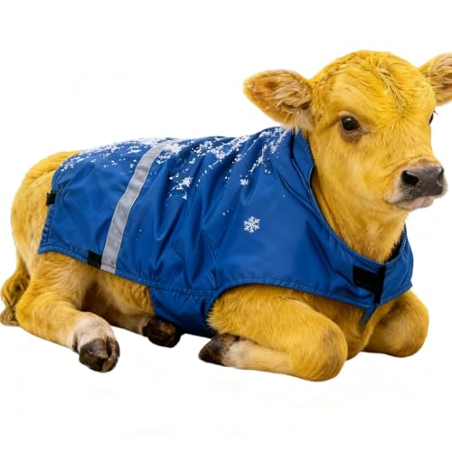 Ihdjasg Kalbedecke | Winddichter Bauchschutz Für Kleinviehkleidung,Isolierte Vieh Kalbedecke | Nachtsichtschutz Bei Transport Und Auf Der Weide von Ihdjasg