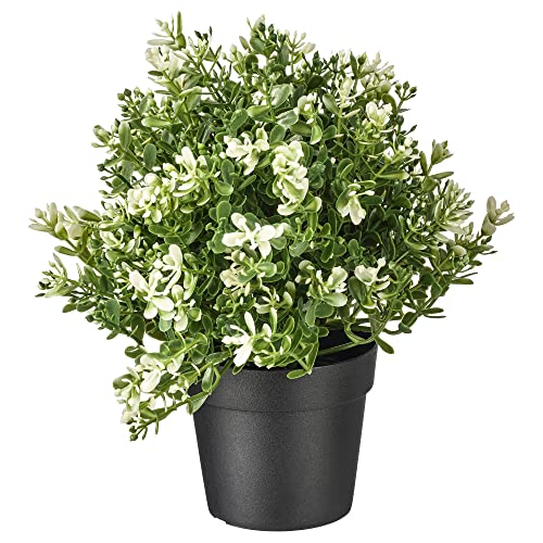 Ikea FEJKA Künstliche Topfpflanze 9 cm Thymian von IKEA