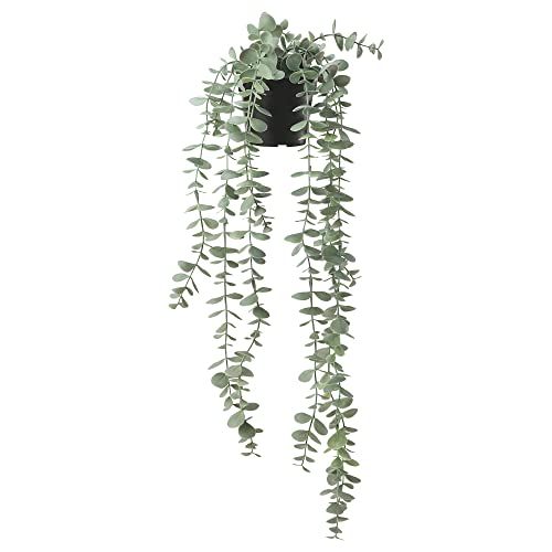 Ikea FEJKA Künstliche Topfpflanze 9cm In/Outdoor Hängend Eukalyptus von Ikea