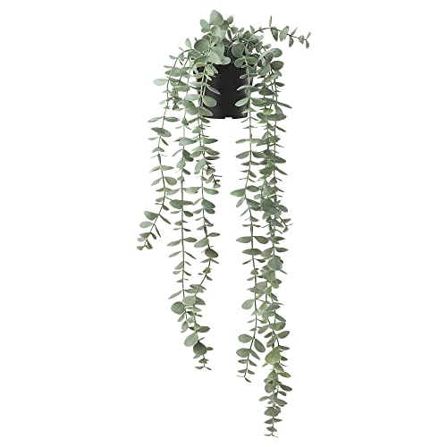 IKEA FEJKA Künstliche Topfpflanze 9cm In/Outdoor Hängend Eukalyptus von IKEA