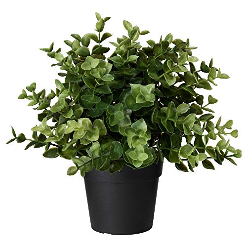 Ikea FEJKA Topfpflanze, künstlich, Oregano, 9 cm, Nicht Angegeben von Ikea
