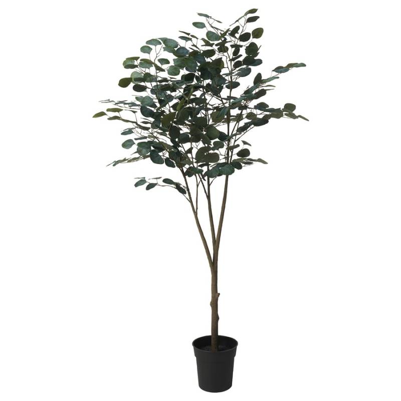 Ikea Fejka Topfpflanze Kunstpflanze Eukalyptus Künstliche Pflanze 19 Cm B-Ware von Ikea