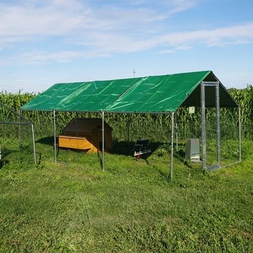 Kit Hühnerstall Cocincina Plus | Zaun + Hühnerstall + Tür und Abbev. Auto | Abdeckung 6 x 3 m Kit Hühnerstall Cocincina Plus | Zaun + Hühnerstall + Tür und Abbev. Auto | Abdeckung 6 x 3 m von Il Verde Mondo