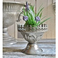 Pflanztopf Amphore, Antiksilber 15 cm, Pflanzschale Auf Fuß Metall Shabbychic Pflanztopf Amphore, Antiksilber 15 cm, Pflanzschale Auf Fuß Metall Shabbychic von IlSognosVintage