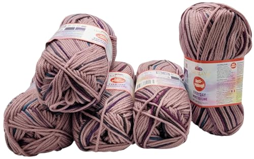 500 Gramm Himalaya Everyday Worsted Line mehrfarbig Antipilling Wolle, 5 x 100 Gramm Strickwolle mit Anti-Pilling Effekt. Babywolle (blau beere altrosa 74706) von Ilkadim Export