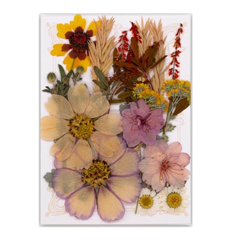 19/20/21/22 Stück gepresste getrocknete Blumen für Harz, natürliche trockene Blumenblätter für Kunst, Handwerk, Scrapbooking, Schmuckherstellung, Blumen-Display 19/20/21/22 Stück gepresste getrocknete Blumen für Harz, natürliche trockene Blumenblätter für Kunst, Handwerk, Scrapbooking, Schmuckherstellung, Blumen-Display von Illkjasfc