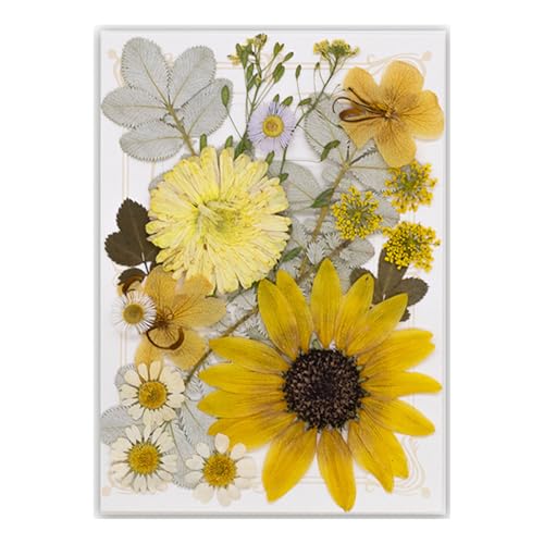 19/20/21/22 Stück gepresste getrocknete Blumen für Harz, natürliche trockene Blumenblätter für Kunst, Handwerk, Scrapbooking, Schmuckherstellung, Blumen-Display 19/20/21/22 Stück gepresste getrocknete Blumen für Harz, natürliche trockene Blumenblätter für Kunst, Handwerk, Scrapbooking, Schmuckherstellung, Blumen-Display von Illkjasfc