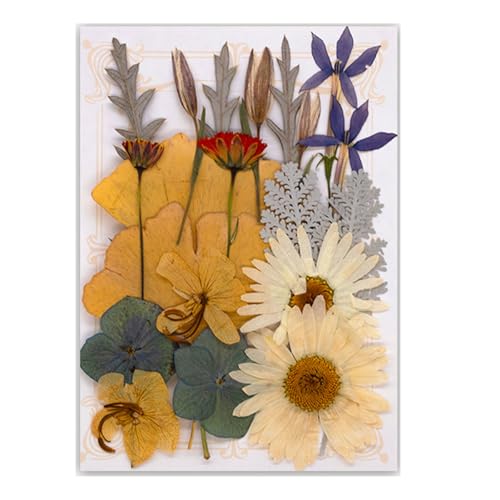 19/20/21/22 Stück gepresste getrocknete Blumen für Harz, natürliche trockene Blumenblätter für Kunst, Handwerk, Scrapbooking, Schmuckherstellung, Blumen-Display 19/20/21/22 Stück gepresste getrocknete Blumen für Harz, natürliche trockene Blumenblätter für Kunst, Handwerk, Scrapbooking, Schmuckherstellung, Blumen-Display von Illkjasfc