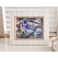Blauhäher Gerahmte 8x10 Fotografie Wand Oder Tischkunst von ImagineRanch