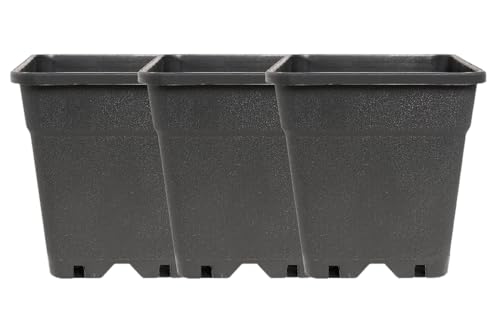 Imagro 3 x Topf 30 Liter vierkant schwarz Pflanztopf Pflanzgefäß von Imagro