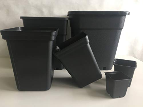 Pflanzentopf schwarz viereckig - Indoor & Outdoor - Anzuchttopf aus hochwertigem PP Kunststoff - Für kleine bis mittel Große Pflanzen (5, 1 L / 10 x 10 x 10 cm) von Imagro