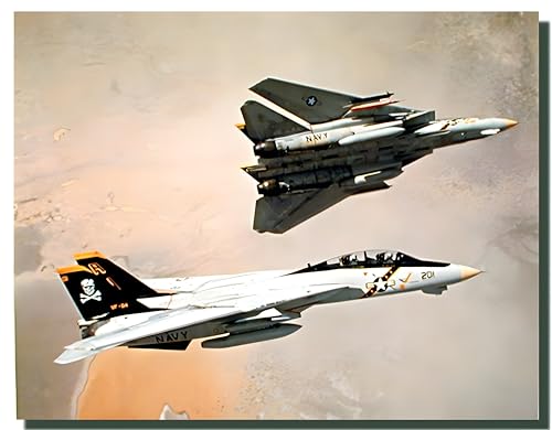 F-14 Kunstdruck / Poster, Motiv: Tomcat Flugzeug / Luftfahrt / Jet / Flugzeug, 40,6 x 50,8 cm von Impact Posters Gallery