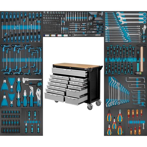 Imperiumtools Werkzeugwagen gefüllt 12 Schubladen Werkzeug Werkstattwagen Imperiumtools Werkzeugwagen gefüllt 12 Schubladen Werkzeug Werkstattwagen von Imperiumtools