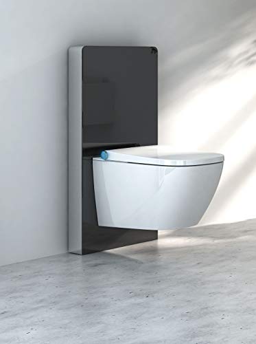 Schwarzglas Sensor - Sanitärmodul für Wand-WC Schwarzglas Sensor - Sanitärmodul für Wand-WC von Impex Einrichtungs GmbH