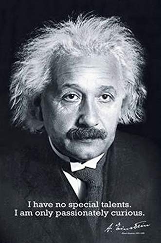 Albert Einstein: I Have no Special Talents... | UK Import Plakat, Poster [61 x 91,5 cm] von Import Poster