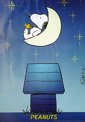 Peanuts, Snoopy & Woodstock: Moon | US Import Filmplakat, Poster [68 x 95 cm] von Import Poster