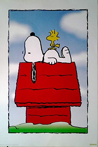 Peanuts: Snoopy & Woodstock | US Import Filmplakat, Poster [68 x 98 cm] von Import Poster