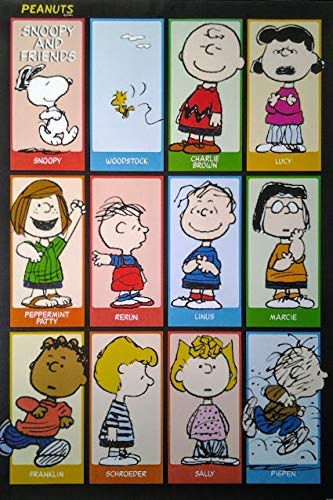 Peanuts: The Gang | US Import Filmplakat, Poster [68 x 98 cm] von Import Poster
