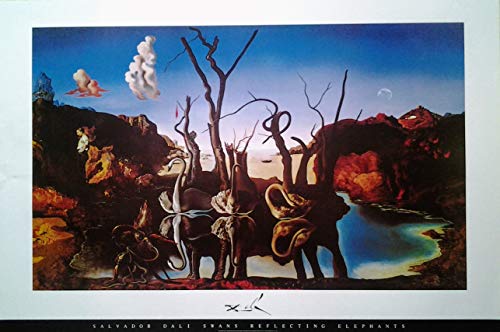 Salvador Dali: Swans Reflecting Elephants | UK Import Plakat, Poster [61 x 91,5 cm] von Import Poster
