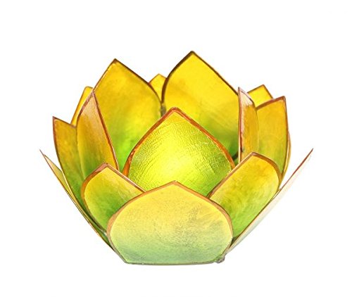 Lotus-Licht Abendsonne grün-gelb Lotus-Licht Abendsonne grün-gelb von Importeur Trends - Claus Lehmann