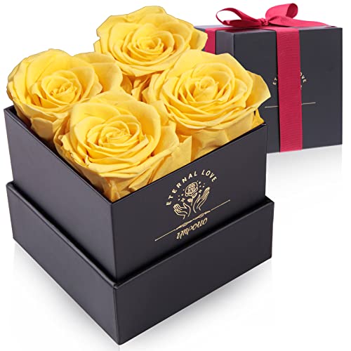 Impouo Konservierte Rosen Impouo Konservierte Rosen von Impouo