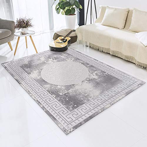 Impression Teppich Wohnzimmer Deko - Kurzflor Teppich im Vintagelook Öko-Tex zertifizierter - Hellgrau-authentisch - Größe 200x280 von Impression