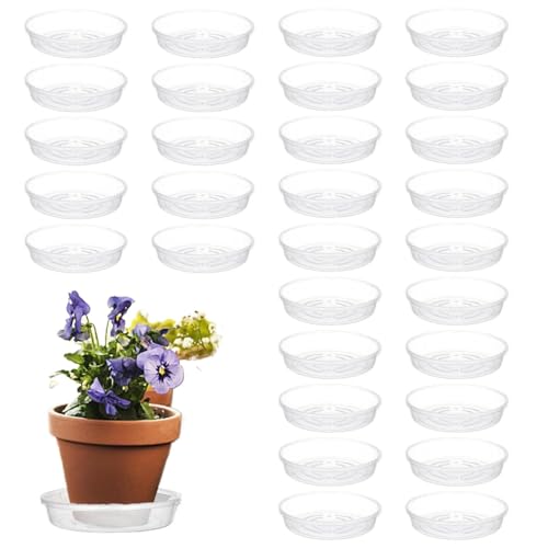 Imtrub 30 Stück Blumentopf Untersetzer, 20cm Transparente Kunststoff Pflanzen Tropfschale Robuste Pflanzenuntersetzer Rund Blumen Tropfschale für Innen- & Außenpflanzen von Imtrub