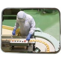 Vialux® Industriespiegel, Edelstahl, rechteckig, HxB 600 x 800 mm, Halterung aus feuerverzinktem Stahl von Vialux®