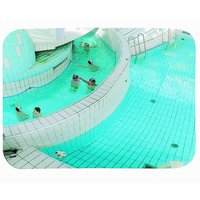 Vialux® AQUAMIR® Schwimmbadspiegel, P.A.S.®, HxB 800 x 1.000 mm, für Innenbereich von Vialux®
