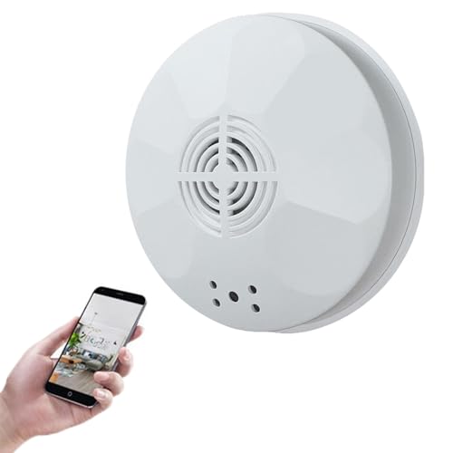 InCliick 1080P WiFi Wandmontage Kamera Unterstützung Remote View Motion Detection für Home Office Haustier Zimmer (kein Audio) von InCliick