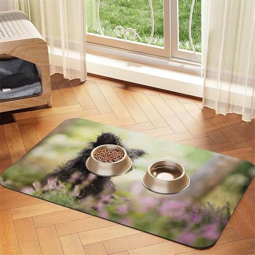 Affenpinscher Rasen Schwarze Hunde Monkey Terrier，Futtermatte für Haustiere, Tischsets aus PU-Leder für Katzen und Hunde,40x60cm von InOmak