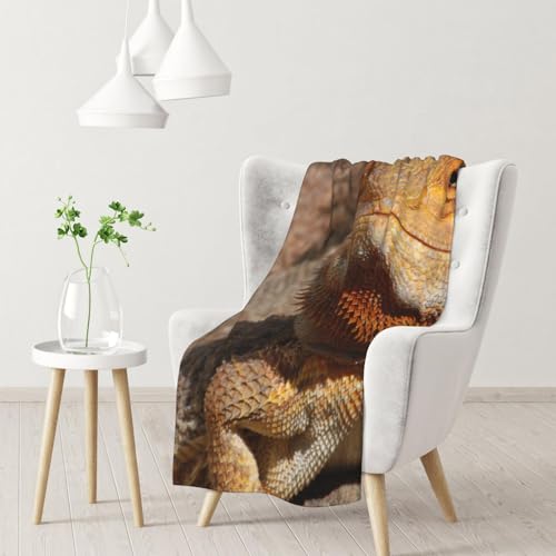 Bartagame,Weiche Decke, warme Anti-Pilling-Flanell-Plüsch-Überwurfdecke, 76 x 102 cm von InOmak