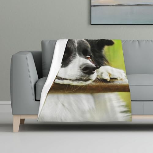 Border Collie Hund Grün,Decke, warme Anti-Pilling-Flanell-Plüsch-Überwurfdecke, 81 x 122 cm Border Collie Hund Grün,Decke, warme Anti-Pilling-Flanell-Plüsch-Überwurfdecke, 81 x 122 cm von InOmak