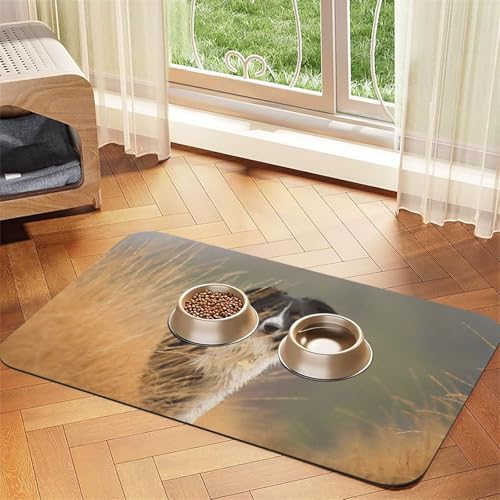 Border Collie Rasen Haustiere Schwarz Weiß Grenze，Futtermatte für Haustiere, Tischsets aus PU-Leder für Katzen und Hunde,40x60cm von InOmak