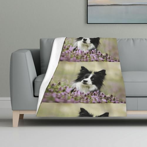 Border Collie Rasen Schwarz Border Collie Haustiere,Decke, warme Anti-Pilling-Flanell-Plüsch-Überwurfdecke, 81 x 122 cm von InOmak